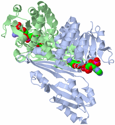 Image Biological Unit 3