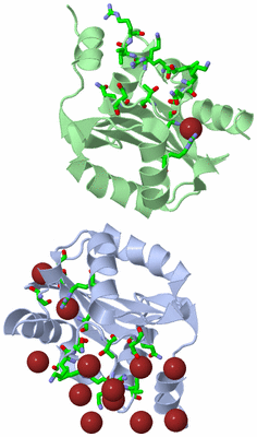 Image Asym./Biol. Unit - sites