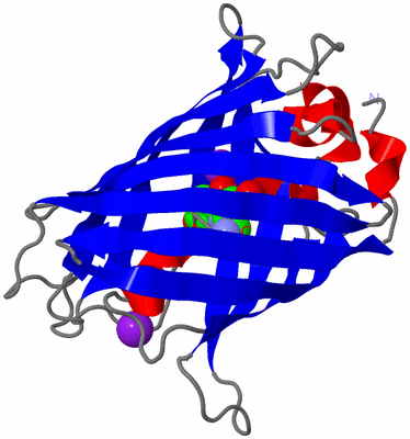 Image Asym./Biol. Unit