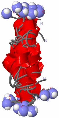 Image NMR Structure - all models