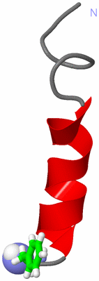 Image NMR Structure - model 1, sites