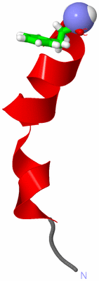 Image NMR Structure - model 1, sites