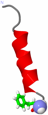 Image NMR Structure - model 1, sites