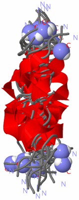 Image NMR Structure - all models