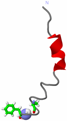 Image NMR Structure - model 1, sites