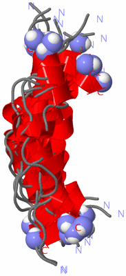 Image NMR Structure - all models