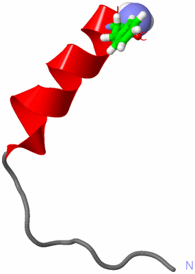 Image NMR Structure - model 1, sites