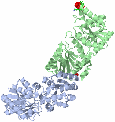 Image Asym./Biol. Unit - sites