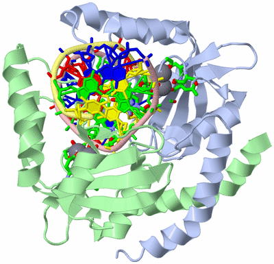 Image Asym./Biol. Unit - sites