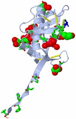 Image Biol. Unit 1 - sites