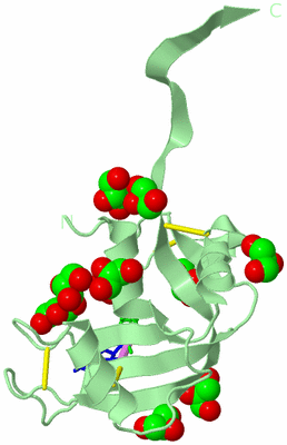 Image Biological Unit 2