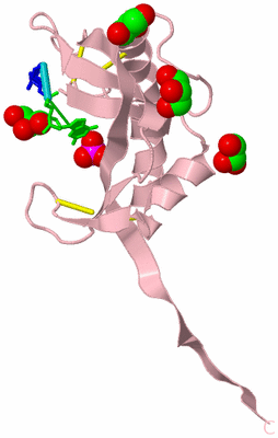 Image Biological Unit 3