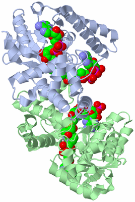 Image Asym./Biol. Unit