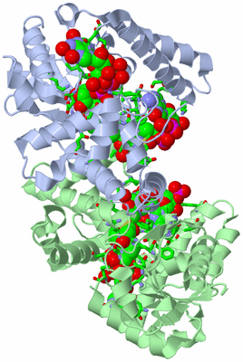 Image Asym./Biol. Unit - sites