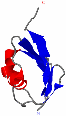 Image NMR Structure - model 1