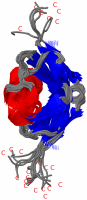 Image NMR Structure - all models