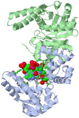 Image Asym./Biol. Unit - sites