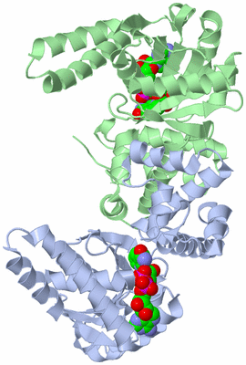 Image Asym./Biol. Unit