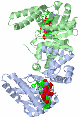 Image Asym./Biol. Unit - sites