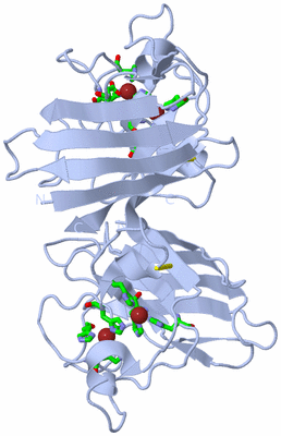 Image Biol. Unit 1 - sites