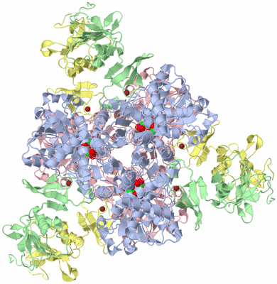 Image Biological Unit 1