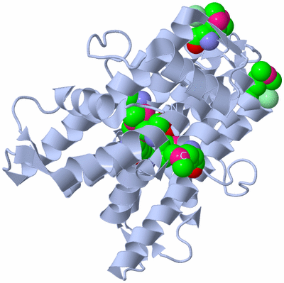 Image Biological Unit 1