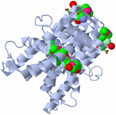 Image Biol. Unit 1 - sites