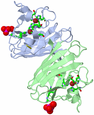 Image Biol. Unit 1 - sites