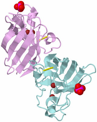 Image Biological Unit 3