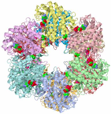 Image Asym./Biol. Unit