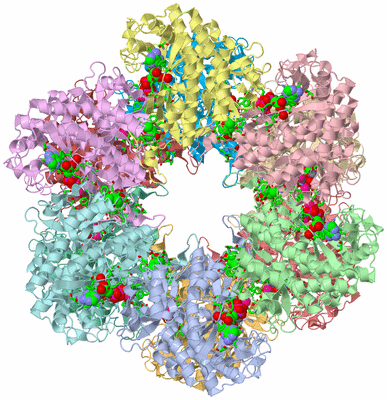 Image Asym./Biol. Unit - sites