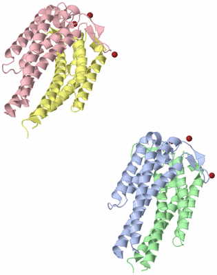 Image Asymmetric Unit