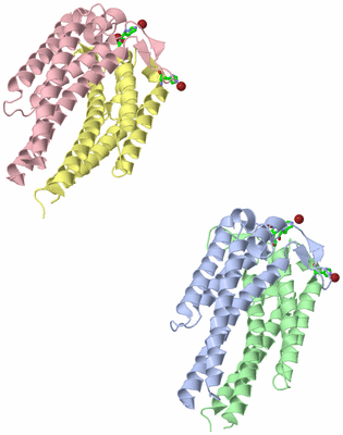 Image Asym. Unit - sites
