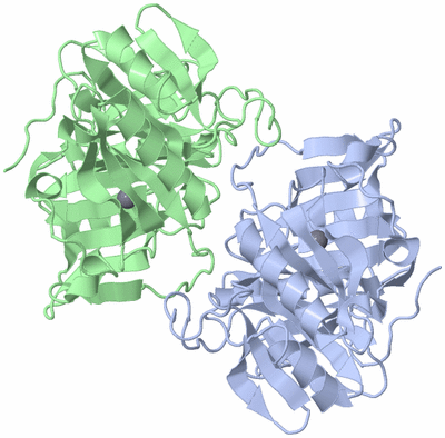 Image Asymmetric Unit