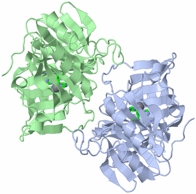 Image Asym. Unit - sites