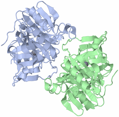 Image Asymmetric Unit