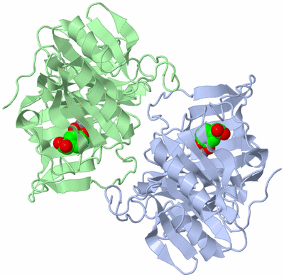 Image Asymmetric Unit