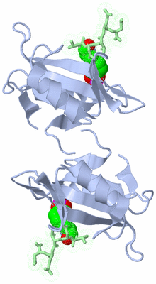 Image Biological Unit 3