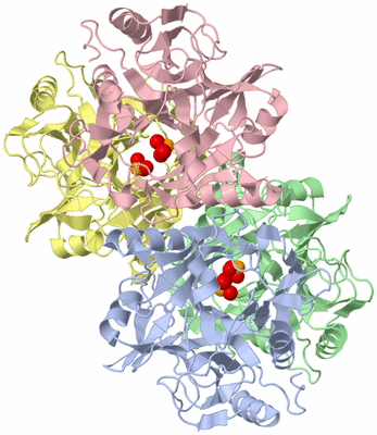 Image Asym./Biol. Unit