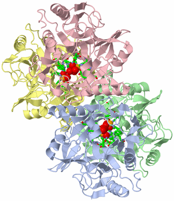 Image Asym./Biol. Unit - sites