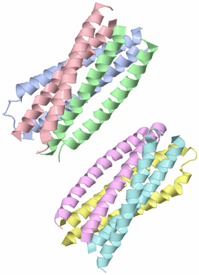 Image Asymmetric Unit