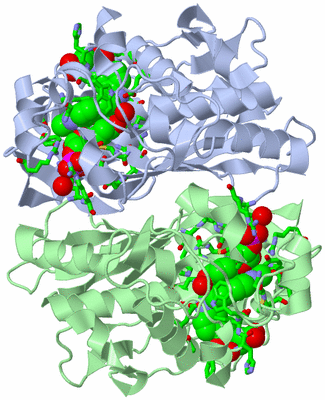 Image Biol. Unit 1 - sites