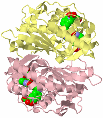 Image Biological Unit 2