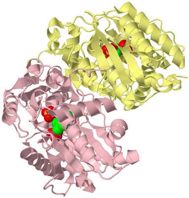 Image Biological Unit 2