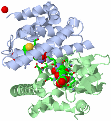 Image Biol. Unit 1 - sites