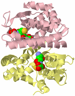 Image Biological Unit 2