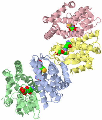 Image Biological Unit 3