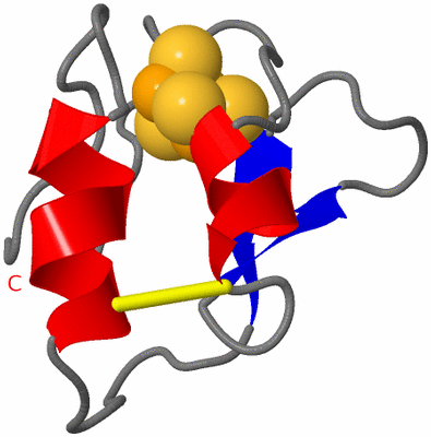 Image NMR Structure - model 1