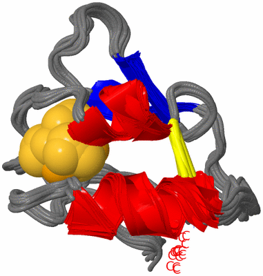Image NMR Structure - all models
