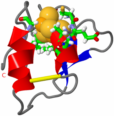 Image NMR Structure - model 1, sites